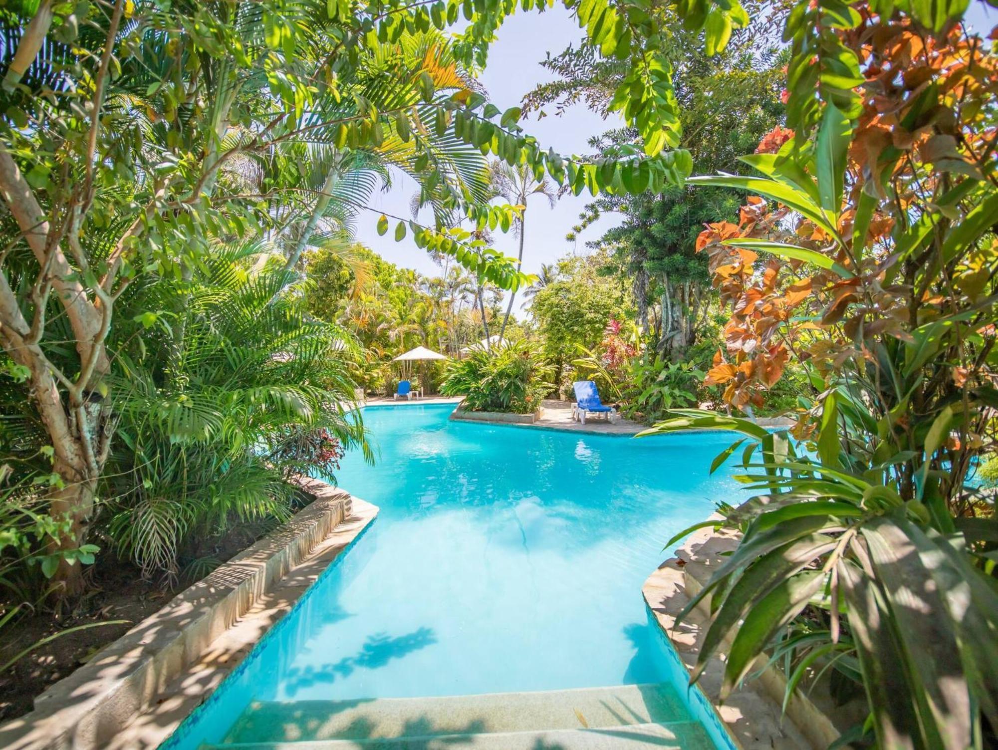 Room In Guest Room - 2Br Caribbean Condo In Cabarete Center 외부 사진